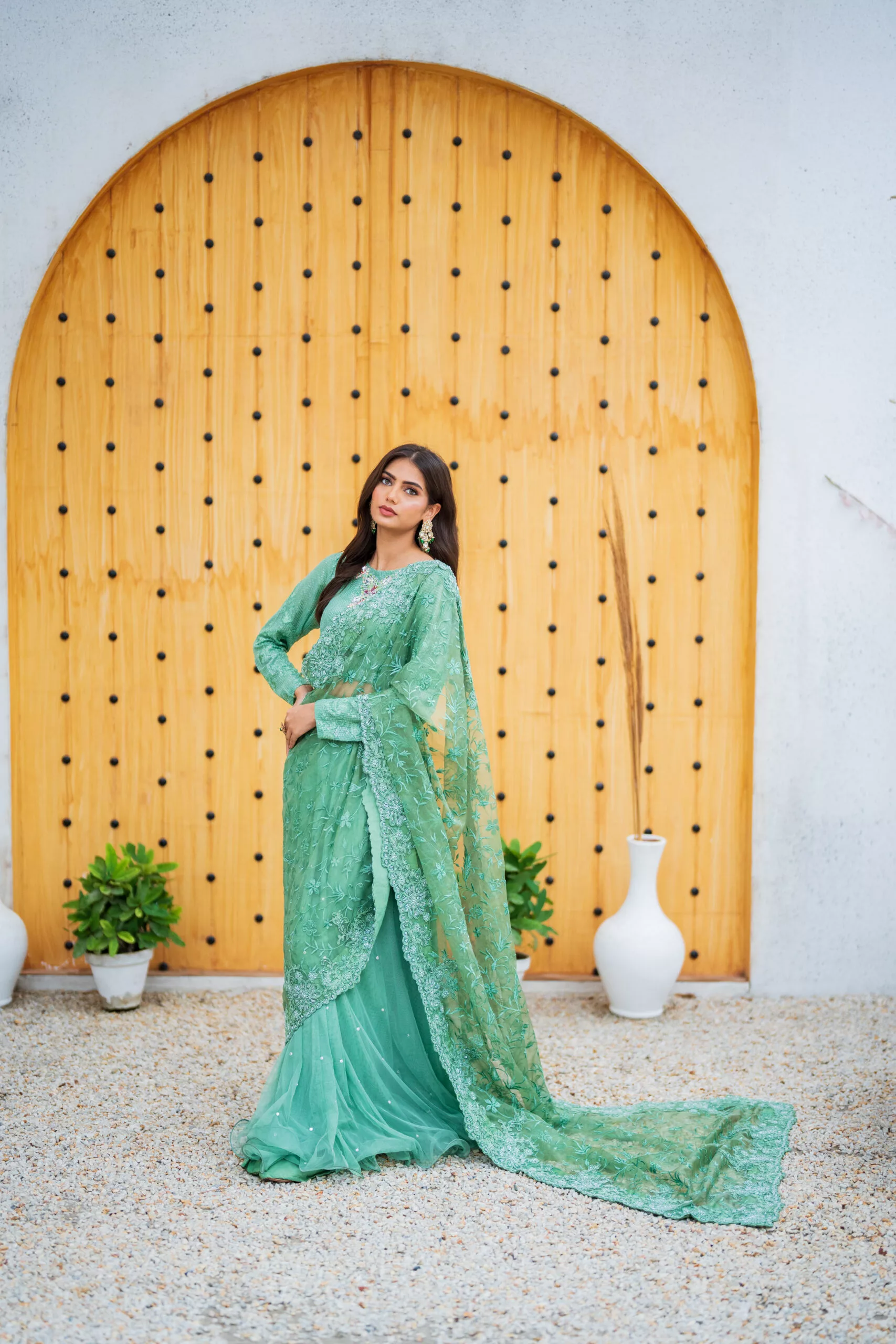 Green Dove - Image 4